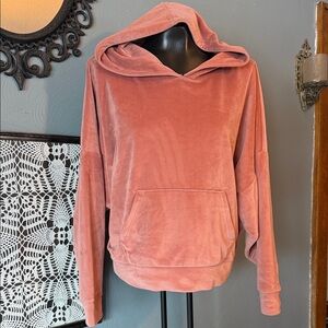 American Eagle Outfitters Dusty Rose Hoodie